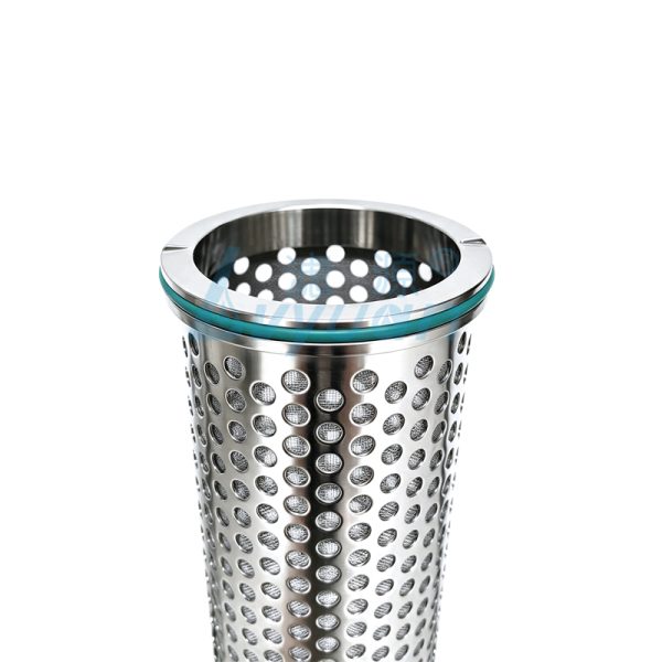 Duplex Filter Housing (3)