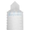 10 Inch Pleated Filter Cartridge (2)