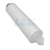 10 Inch Pleated Filter Cartridge (6)