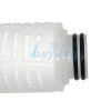 Polyester Pleated Filter Cartridge (5)