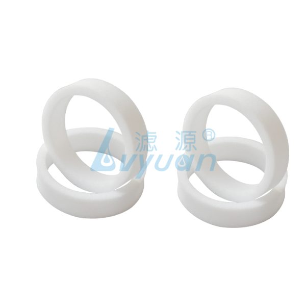 Sintered Porous PE Ring Filter (5) Sintered Porous PE Ring Filter