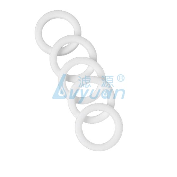 Sintered Porous PE Ring Filter (6) Sintered Porous PE Ring Filter